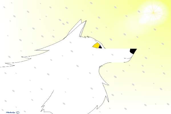 Loups