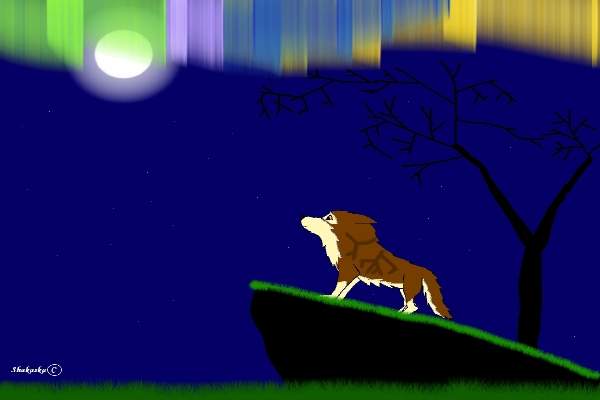 Balto différent