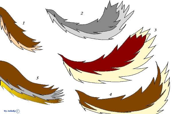 Queue ( partie 1 )