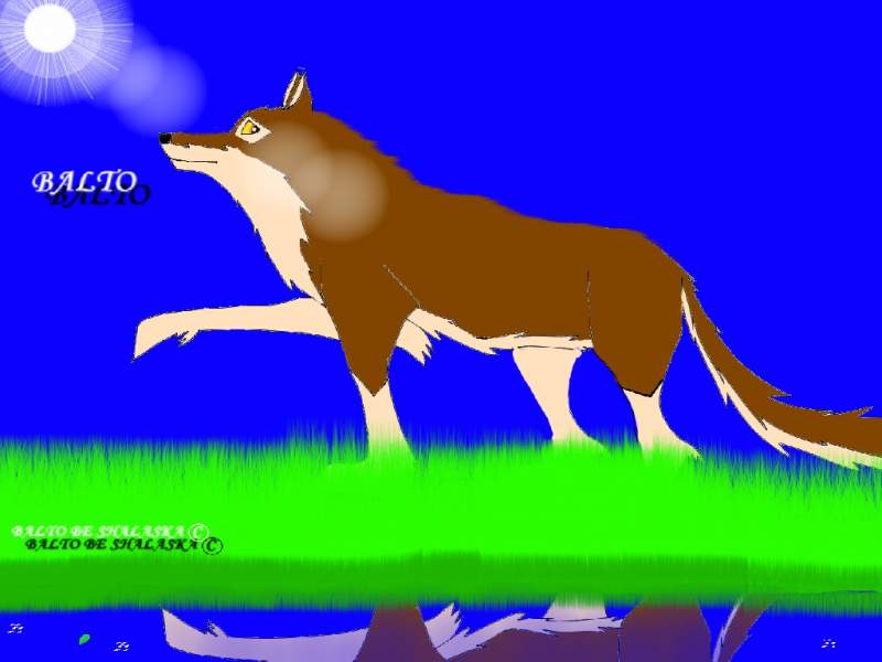 Balto profil