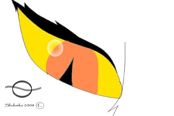 Eye