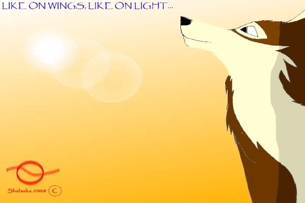 Like on wongs like the light