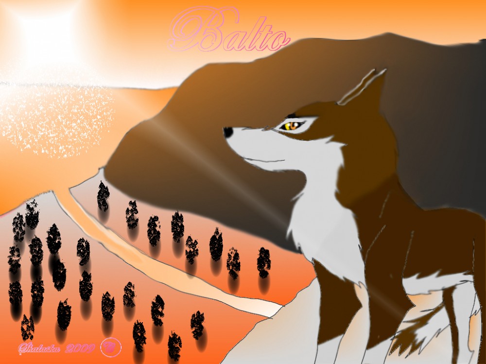 Balto life