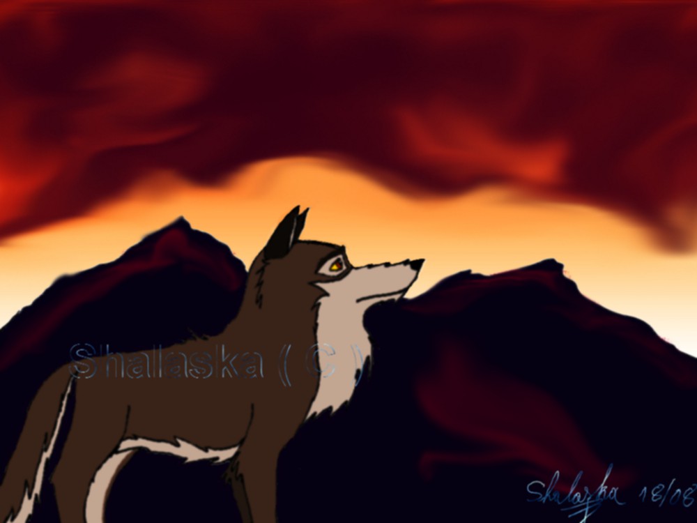 Balto sunset