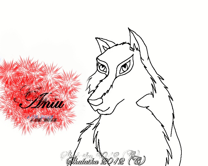 Aniu lineart