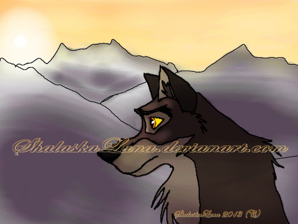 Balto looks