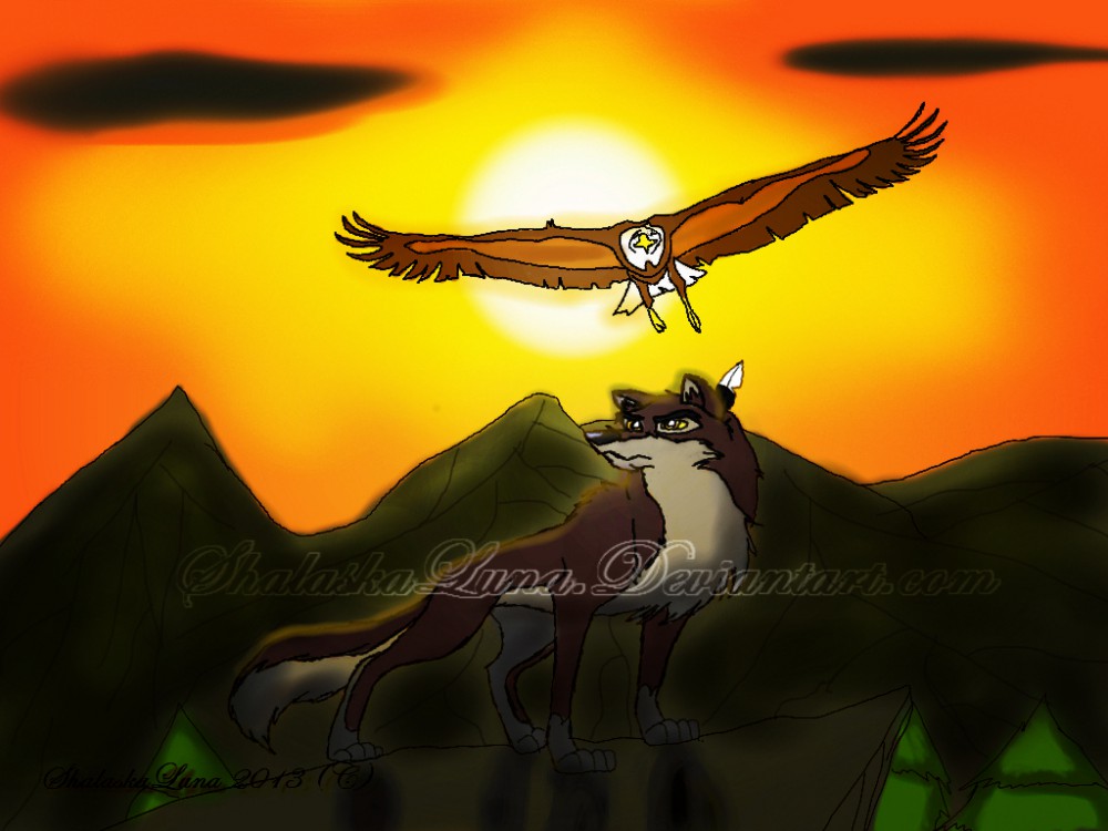 Spirit of the hawk