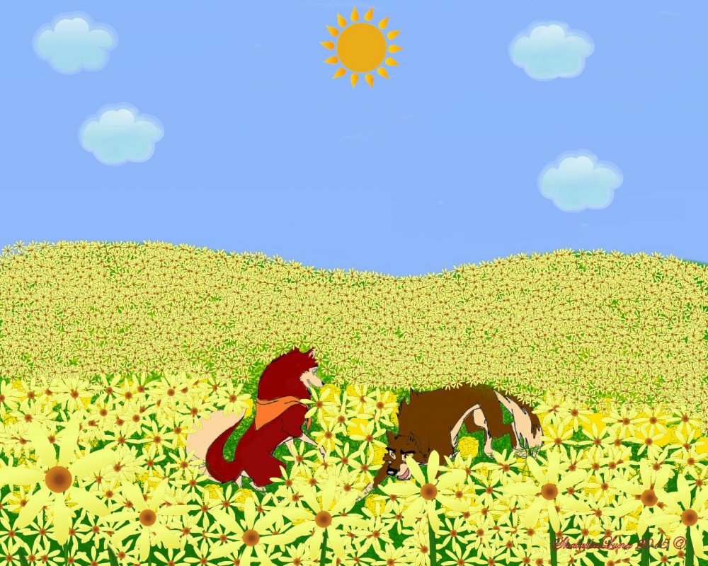 Shine on * Remake *