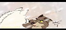 About me ?