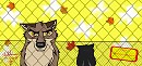 Balto et Palto