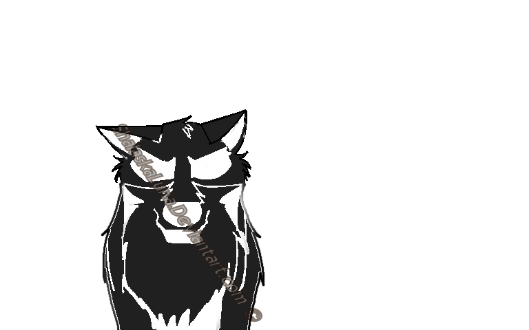 Balto tag