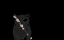 Balto tag