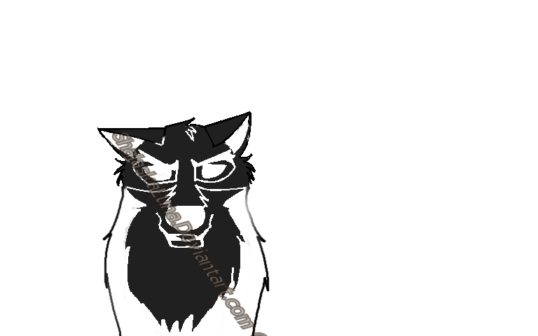 Balto tag v2