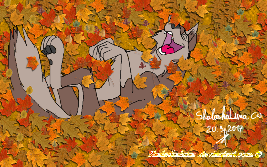 Aleu plays in autumn