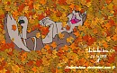Aleu plays in autumn