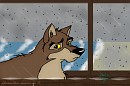 Raining day