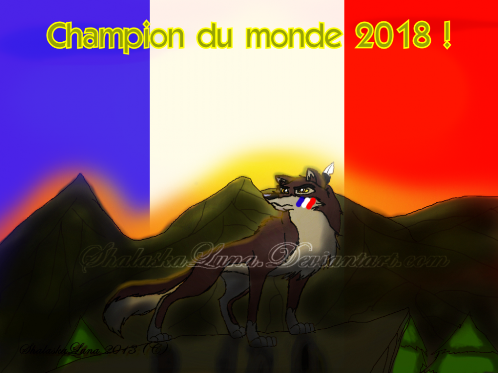 Champion du monde 2018