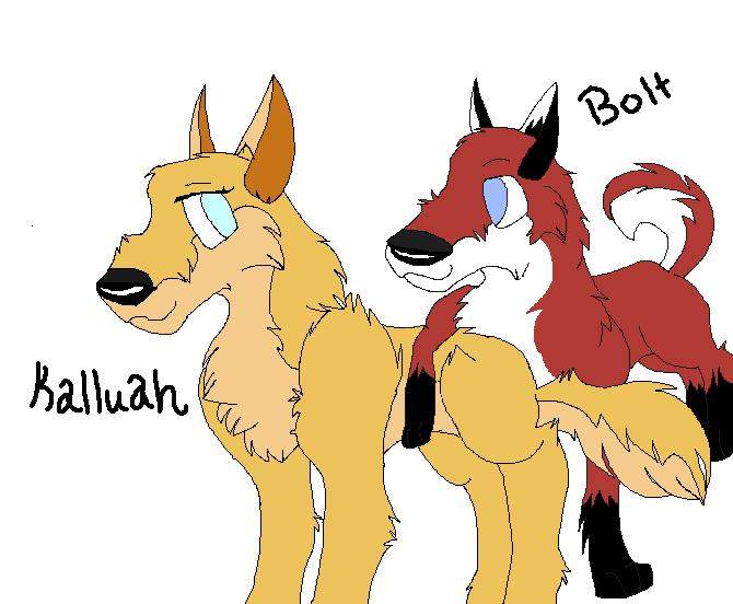 Kalluah and Bolt