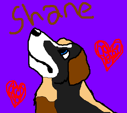 Shane Avatar