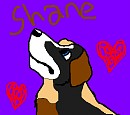 Shane Avatar