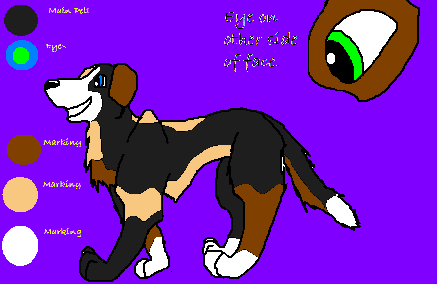 Shane Ref
