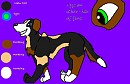 Shane Ref