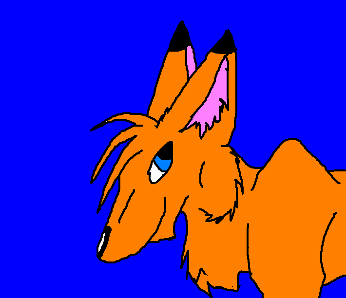 Random Fox