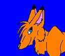 Random Fox