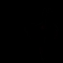 Balto Animation **Not finished**