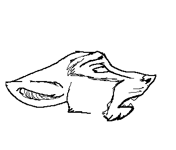 Random Wolf Animation.