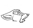 Random Wolf Animation.
