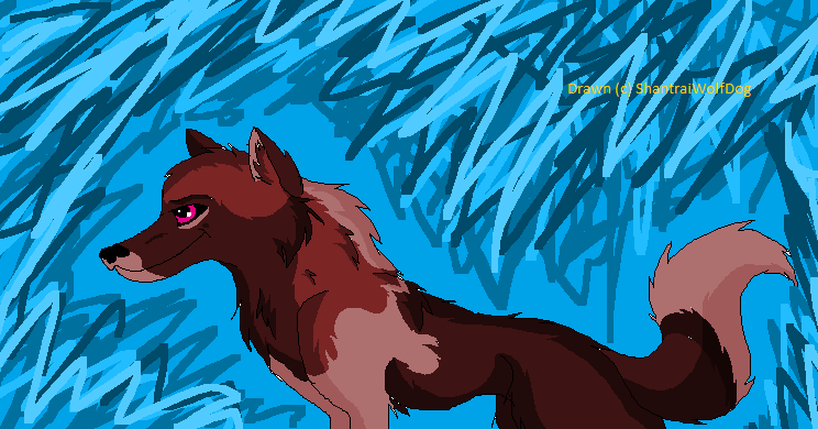 .::Drawing of Java's adoptable I'm going for::.
