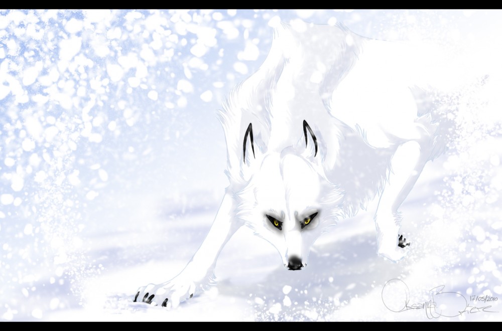 The White Wolf