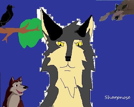Storm, Balto, Kodi, and The Raven