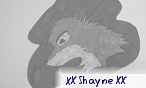 XX Shayne XX
