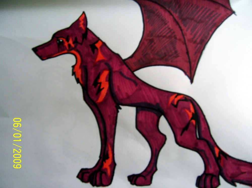 Here is Grim