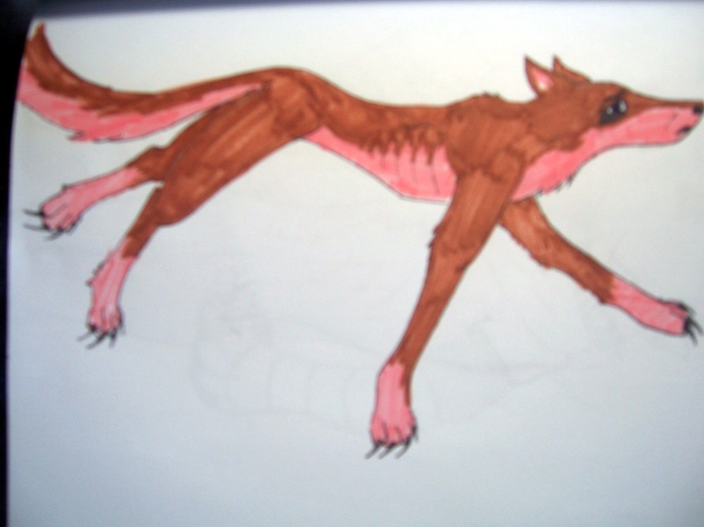 The colours came out wrong again
