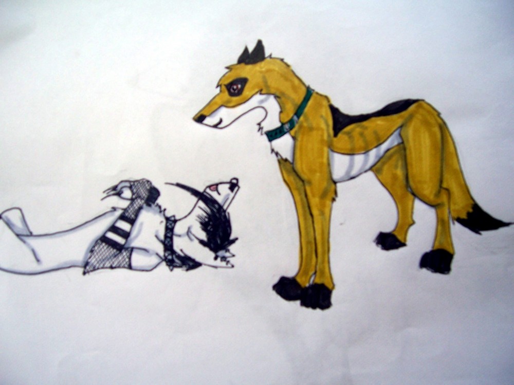 A gift for Aspy!!!!