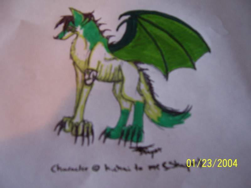 Dracowolf named Ki
