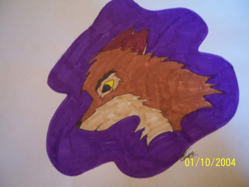 My first balto piccy!