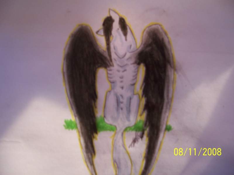 Davey Havoc as a wolf