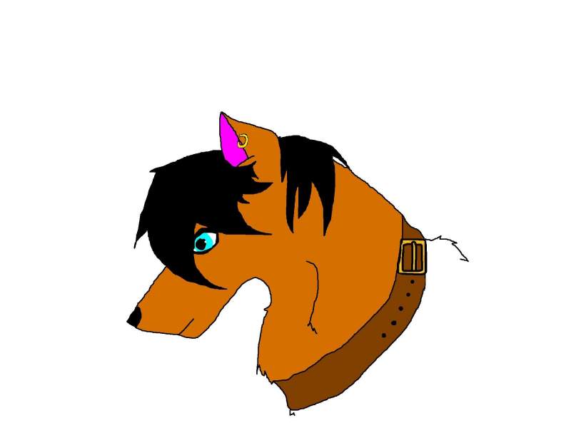 Seever- The head shot I used on the character thin