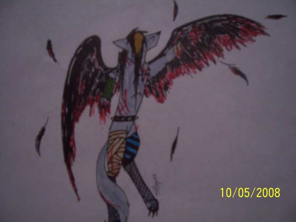 Shayne can't fly XD