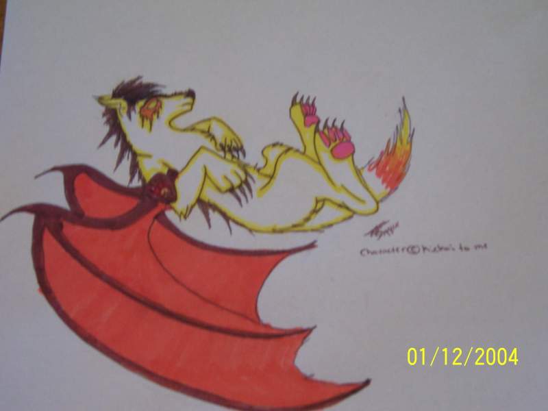 Dracowolf