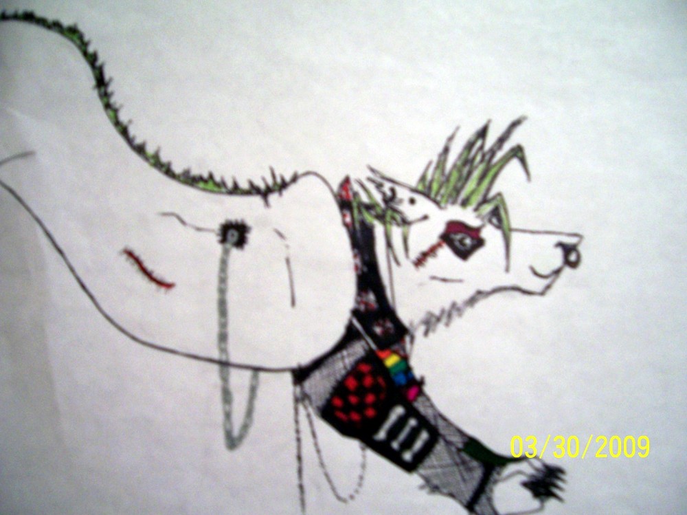 Random wolf....I might make him a charrie though.