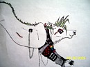 Random wolf....I might make him a charrie though.