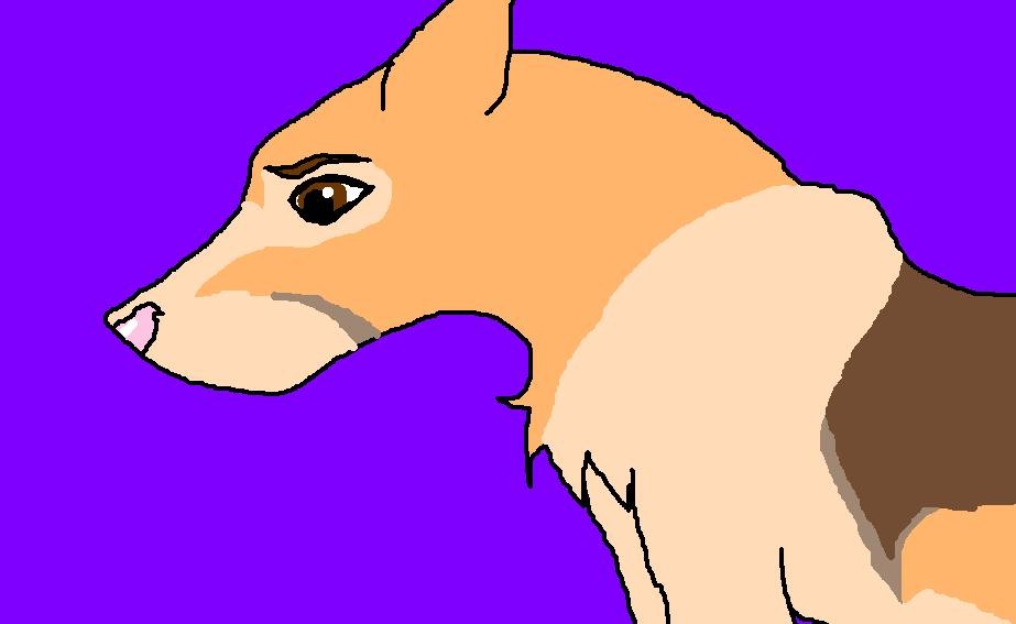 Here's a request for xCelestial.Beex 