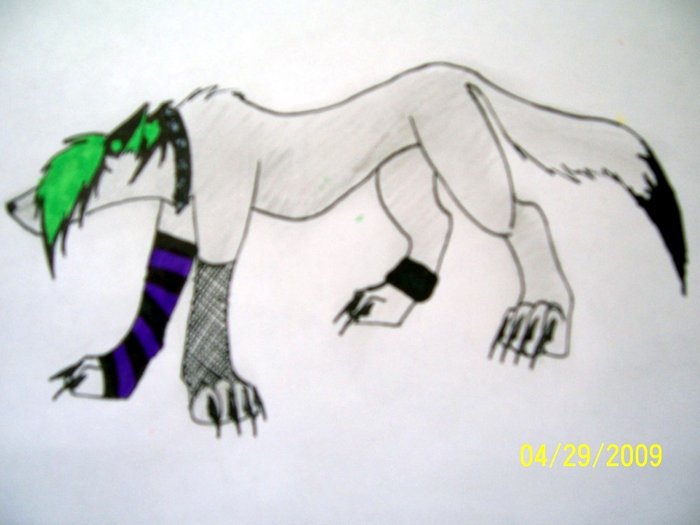 A gift for Cornflake