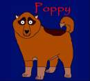 Poppy