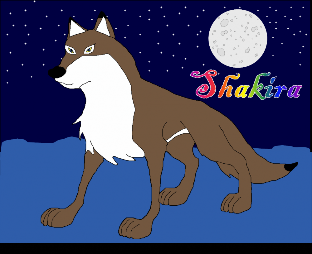 Shakera on a Moonlit Night